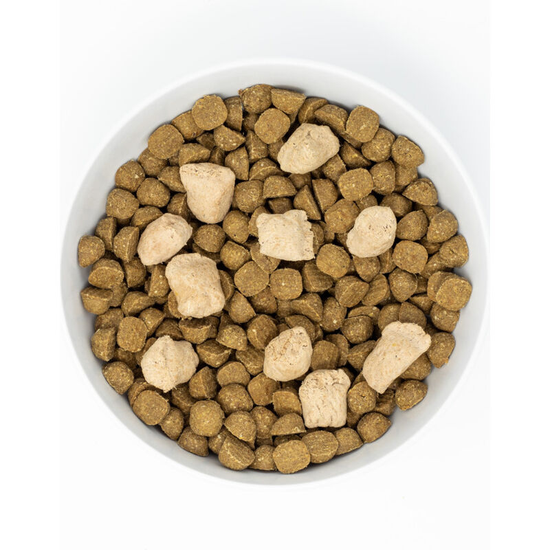 Stella & Chewy's Raw Blend Wholesome Grains Dry Dog Food, Red Meat image number null