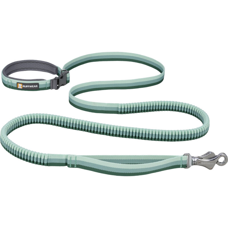 Ruffwear Roamer Bungee Dog Leash, River Rock Green image number null