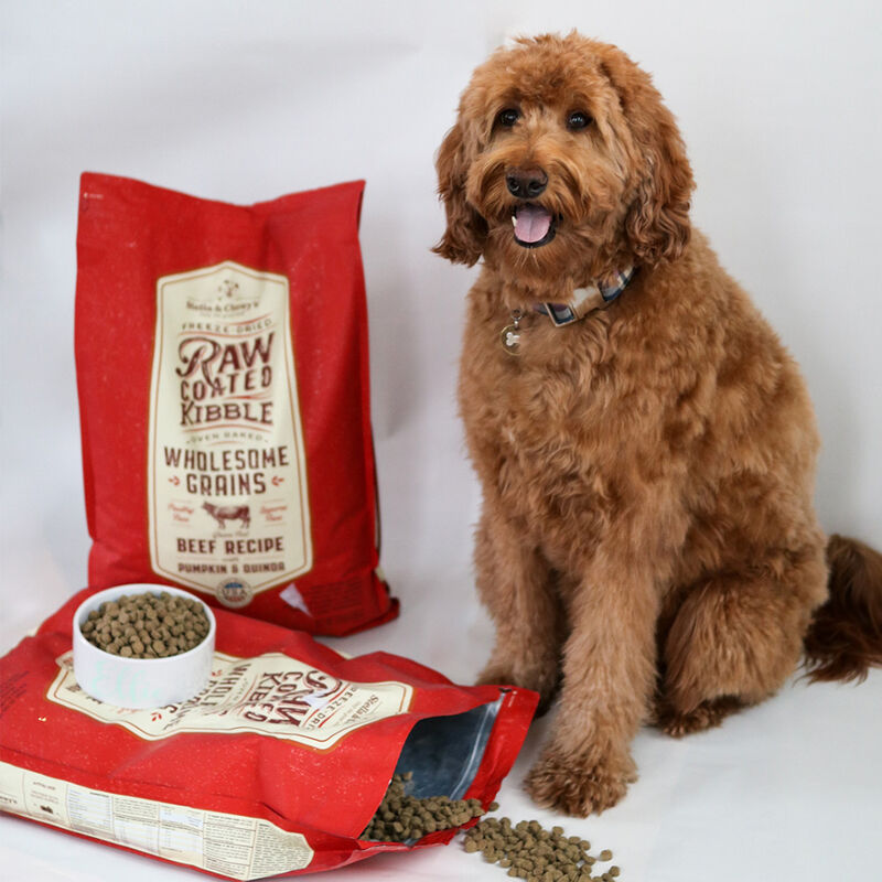 Stella & Chewy's Raw Coated Wholesome Grains Dry Dog Food, Beef image number null