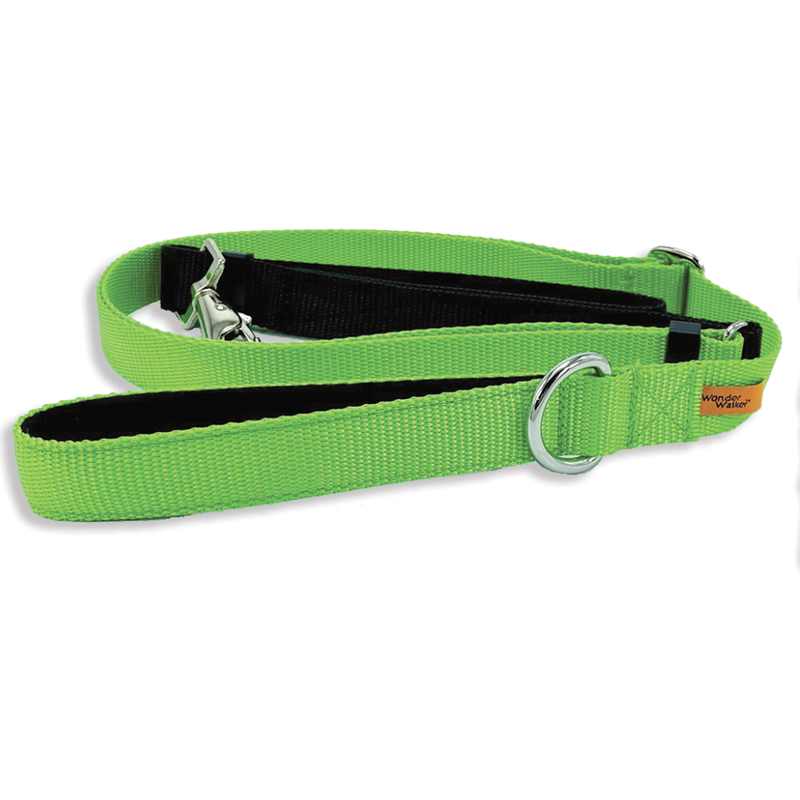 Dolan's Dog Doodads Service Dog Leash, Light Green image number null