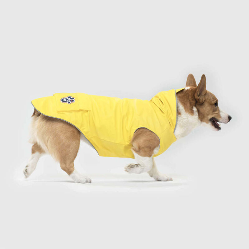 Canada Pooch Torrential Tracker Dog Raincoat, Yellow, 14-in image number null