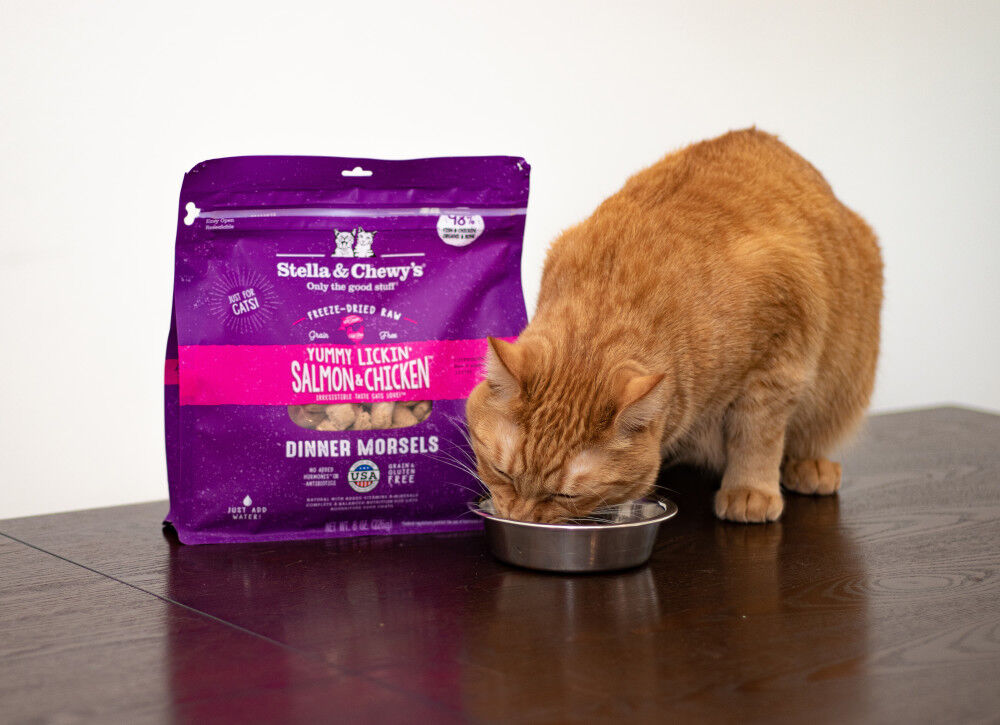 Mud Bay Buy Stella Chewy s Dinner Morsels Raw Freeze Dried Cat