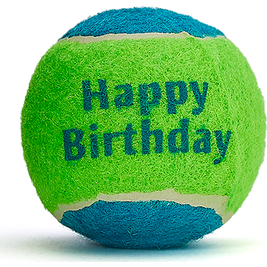 Mud Bay Happy Birthday Tennis Ball Dog Toy, Assorted Colors, Regular