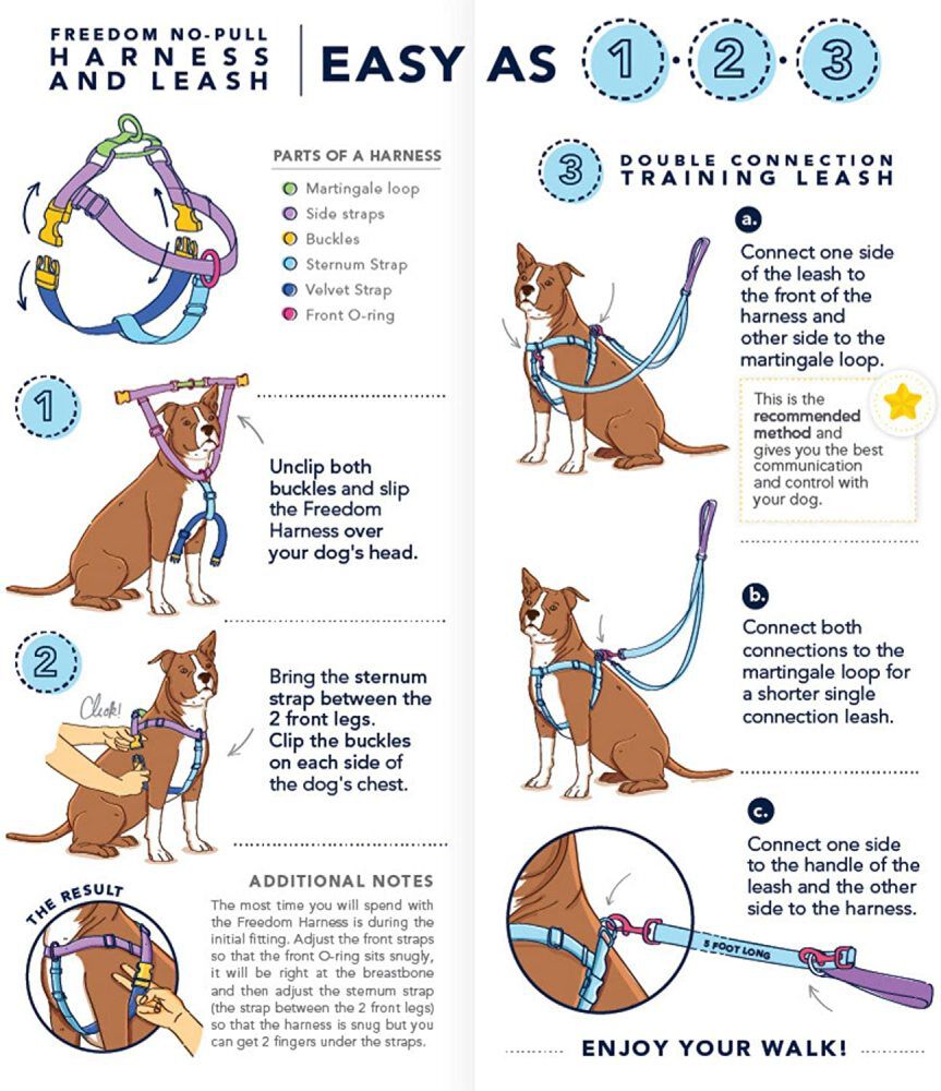 2 hounds cheap design harness