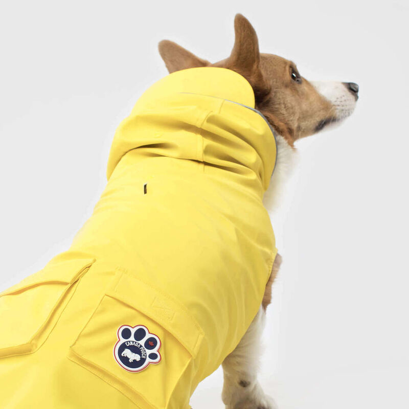 Canada Pooch Torrential Tracker Dog Raincoat, Yellow, 14-in image number null