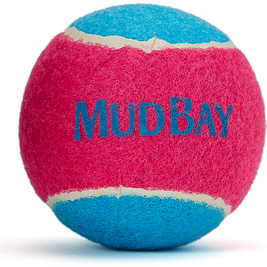 Mud Bay Squeaker Tennis Ball Dog Toy, Assorted Colors