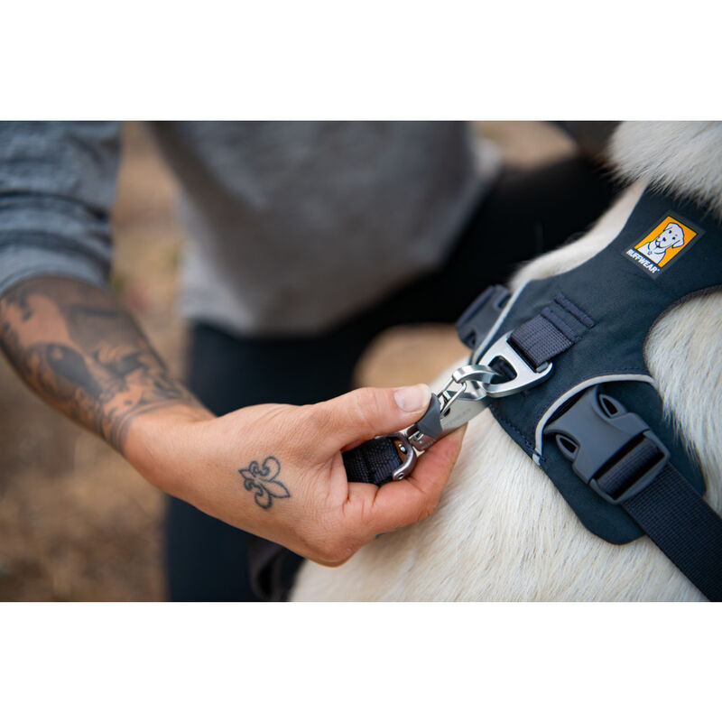 Ruffwear Front Range Dog Harness, Coastal Mountains image number null