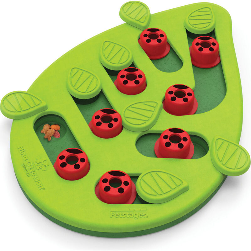 Petstages Nina Ottosson Buggin' Out Puzzle Cat Toy image number null