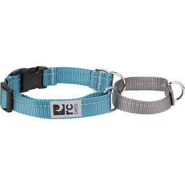 RC Pets Easy Clip Web Training Dog Collar, Teal