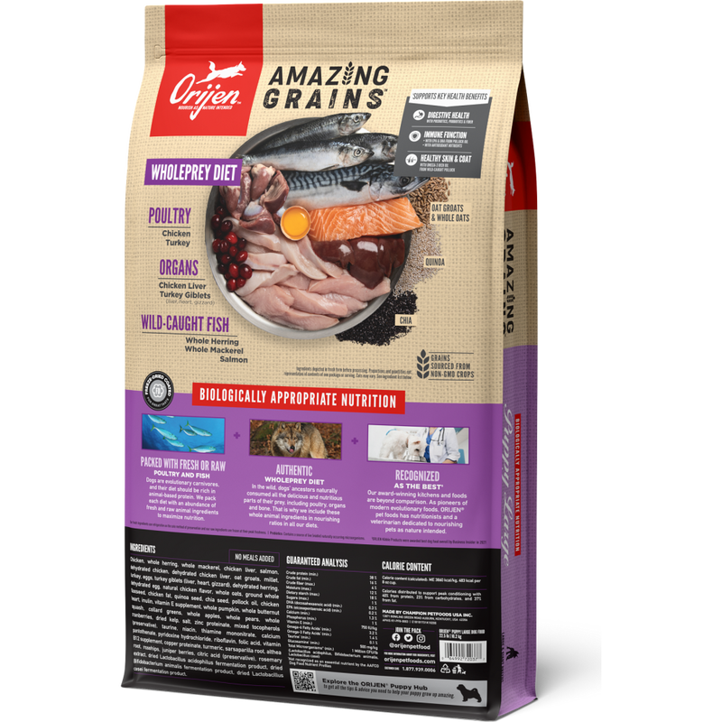 Orijen Amazing Grains Dry Dog Food, Puppy Large, 22.5-lb image number null