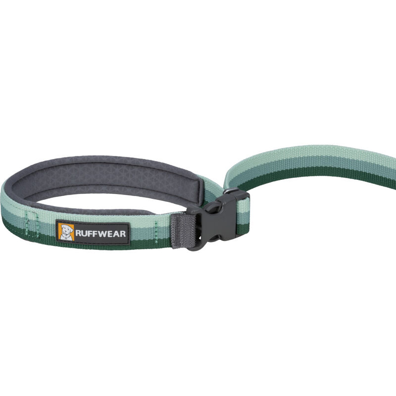 Ruffwear Roamer Bungee Dog Leash, River Rock Green image number null