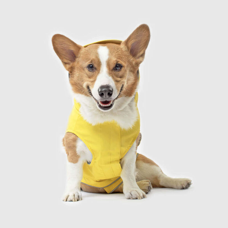 Canada Pooch Torrential Tracker Dog Raincoat, Yellow, 14-in image number null