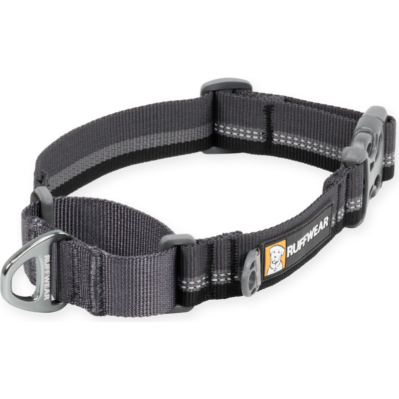 Ruffwear Web Reaction Buckled Martingale Dog Collar, Basalt Gray image number null