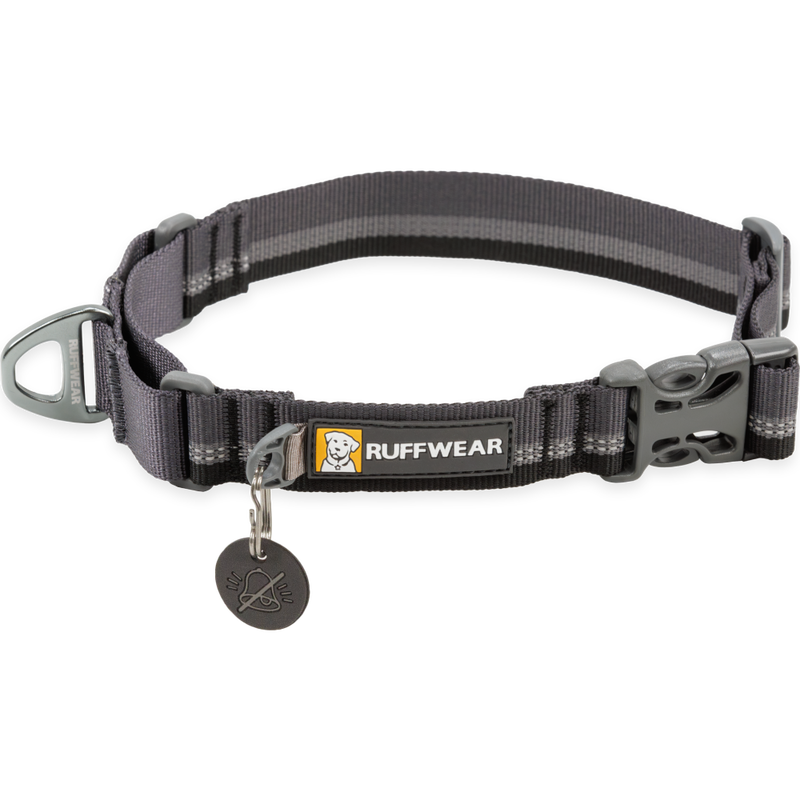 Ruffwear Web Reaction Buckled Martingale Dog Collar, Basalt Gray image number null