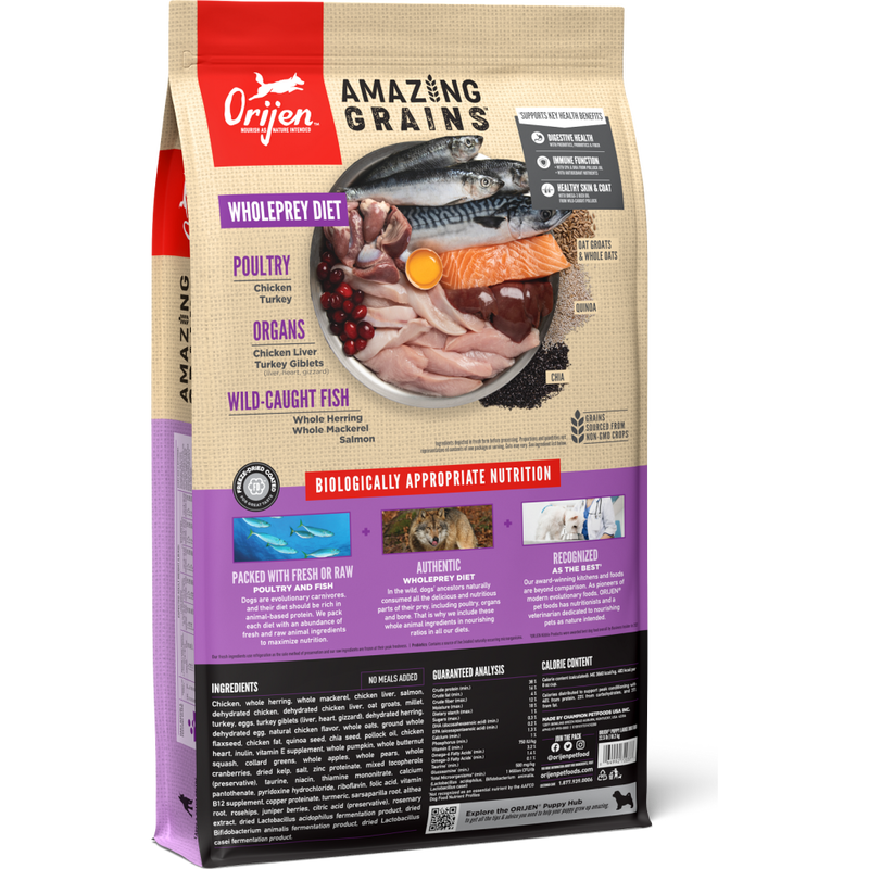 Orijen Amazing Grains Dry Dog Food, Puppy Large, 22.5-lb image number null