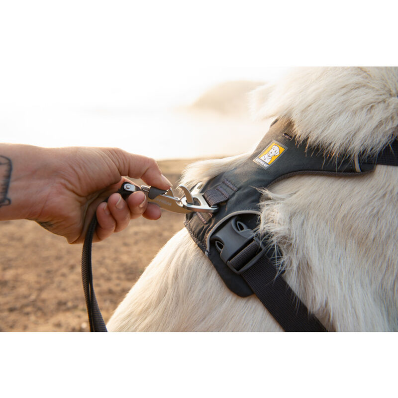 Ruffwear Front Range Dog Harness, Coastal Mountains image number null