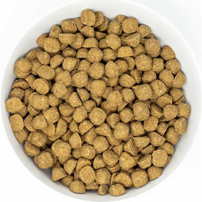 Stella & Chewy's Raw Coated Wholesome Grains Dry Dog Food, Beef image number null