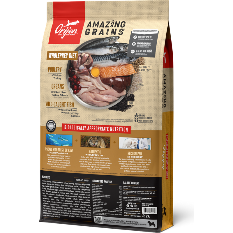 Orijen Amazing Grains Dry Dog Food, Puppy image number null