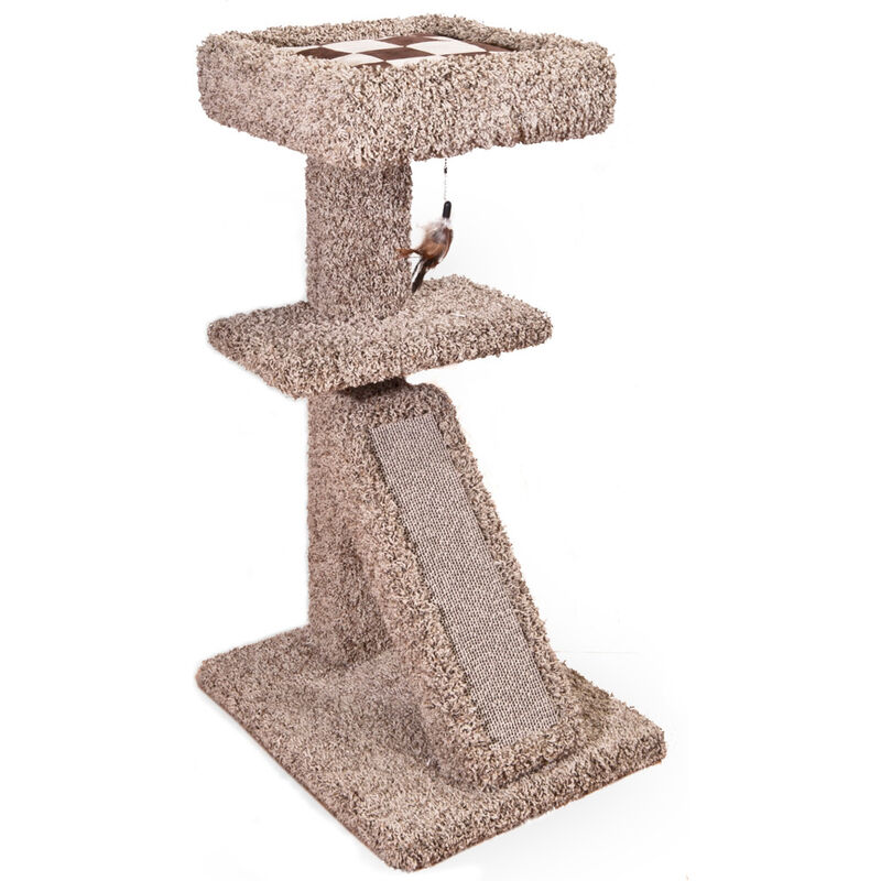 Ware Pet Products Scratch N Nest with Bed Cat Scratcher image number null