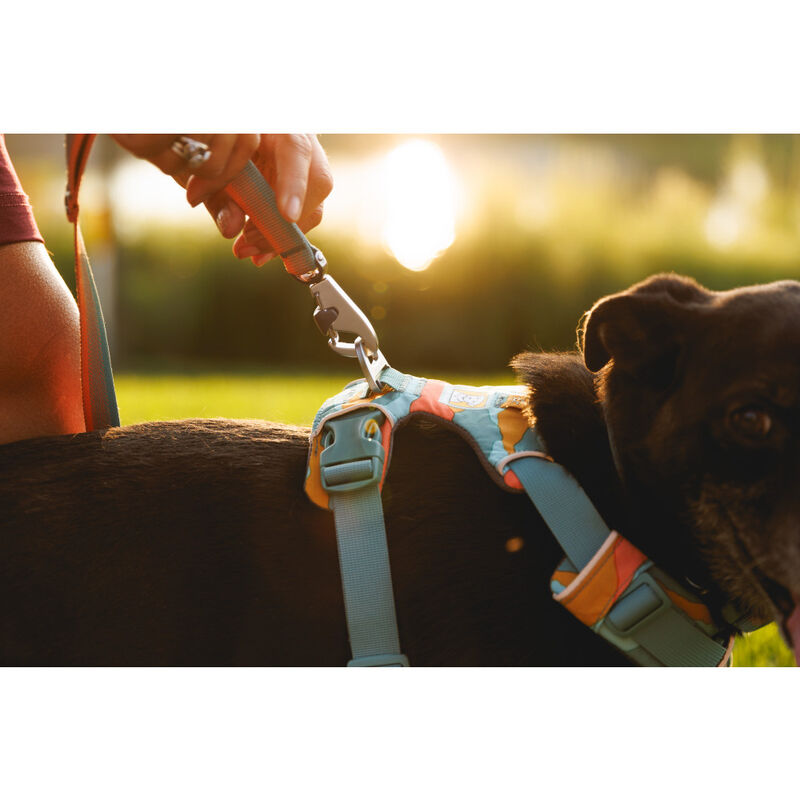 Ruffwear Front Range Dog Harness, Spring Mountains image number null