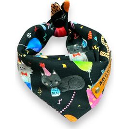 Mud Bay Cat Bandana, Kitty Birthday