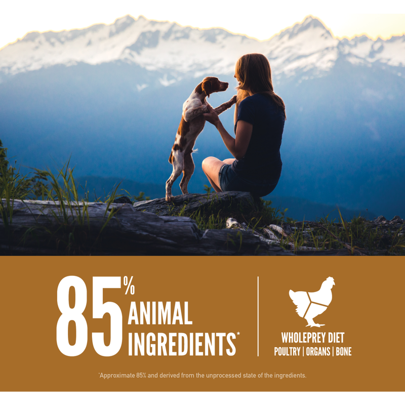 Orijen Grain-Free Dry Dog Food, Puppy image number null