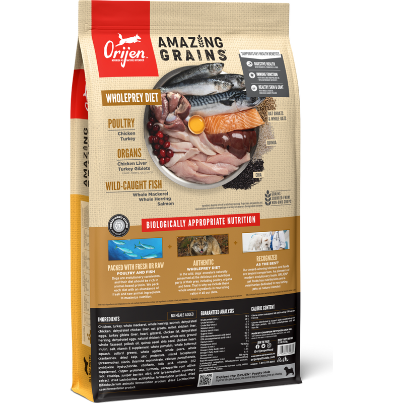 Orijen Amazing Grains Dry Dog Food, Puppy image number null