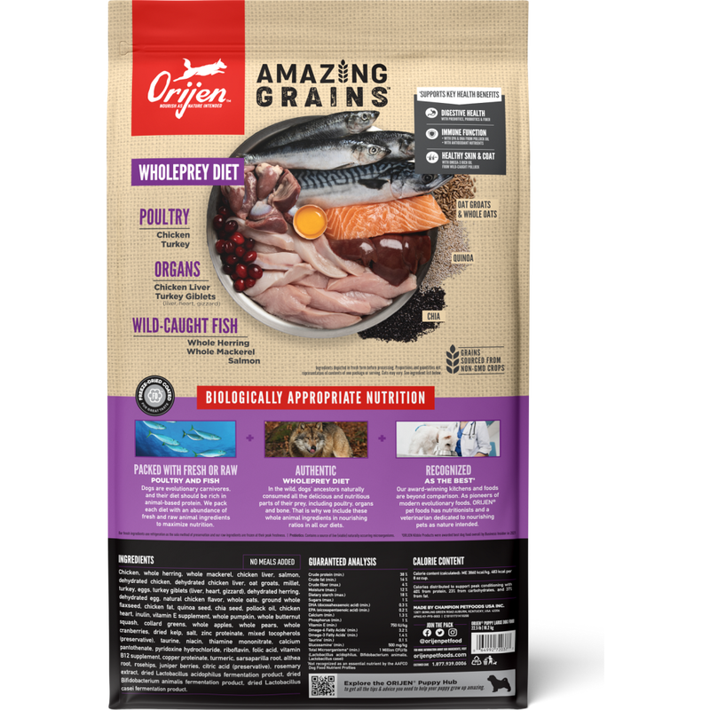 Orijen Amazing Grains Dry Dog Food, Puppy Large, 22.5-lb image number null