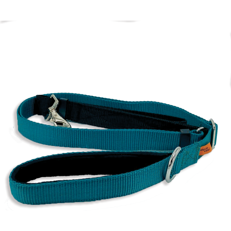 Dolan's Dog Doodads Service Dog Leash, Teal image number null