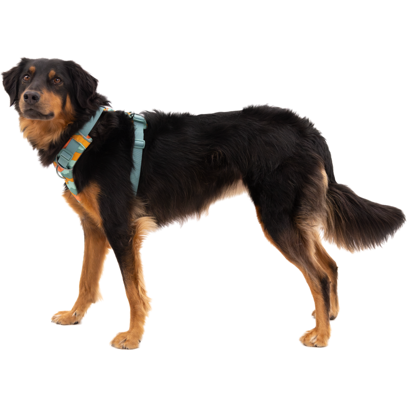 Ruffwear Front Range Dog Harness, Spring Mountains image number null