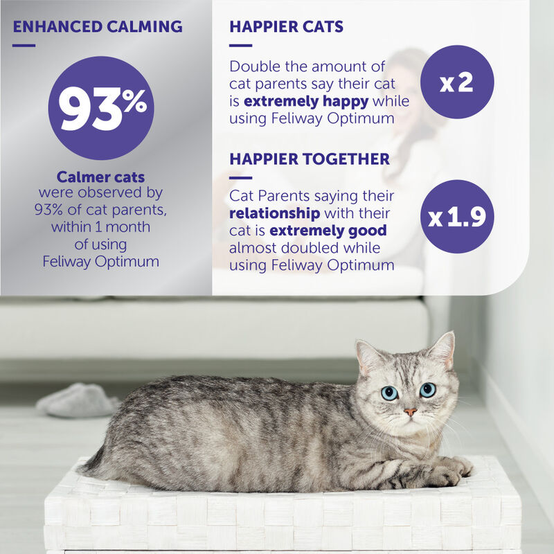 Feliway Optimum Calming Cat Pheromones, Refill image number null