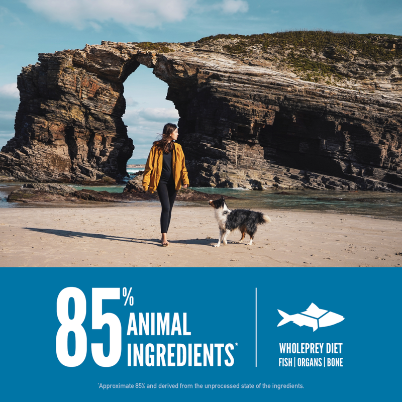 Orijen Grain-Free Dry Dog Food, Six Fish image number null