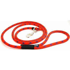 Krebs Recycle Reggie Dog Leash, Assorted Colors, 6-ft