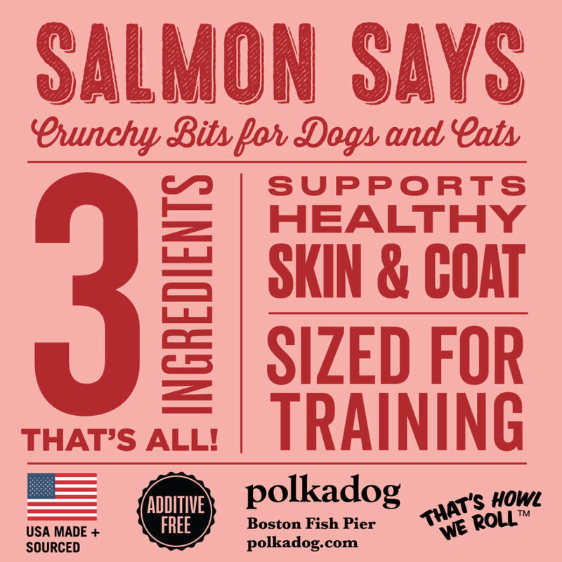 Polka Dog Crunchy Training Bits Dog Treats, Salmon Says, 7-oz image number null